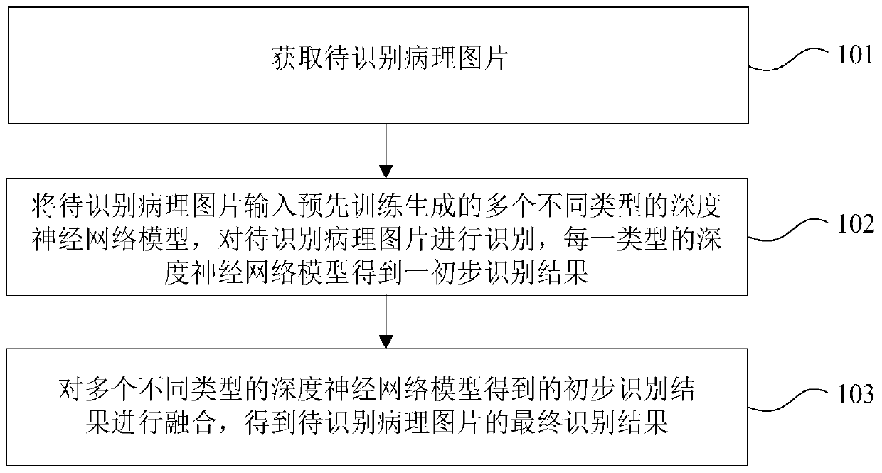 Method and device for identifying pathological pictures