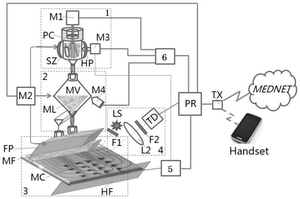 Rapid detection method for sampling swab and fully-integrated analysis system for swab sampled sample