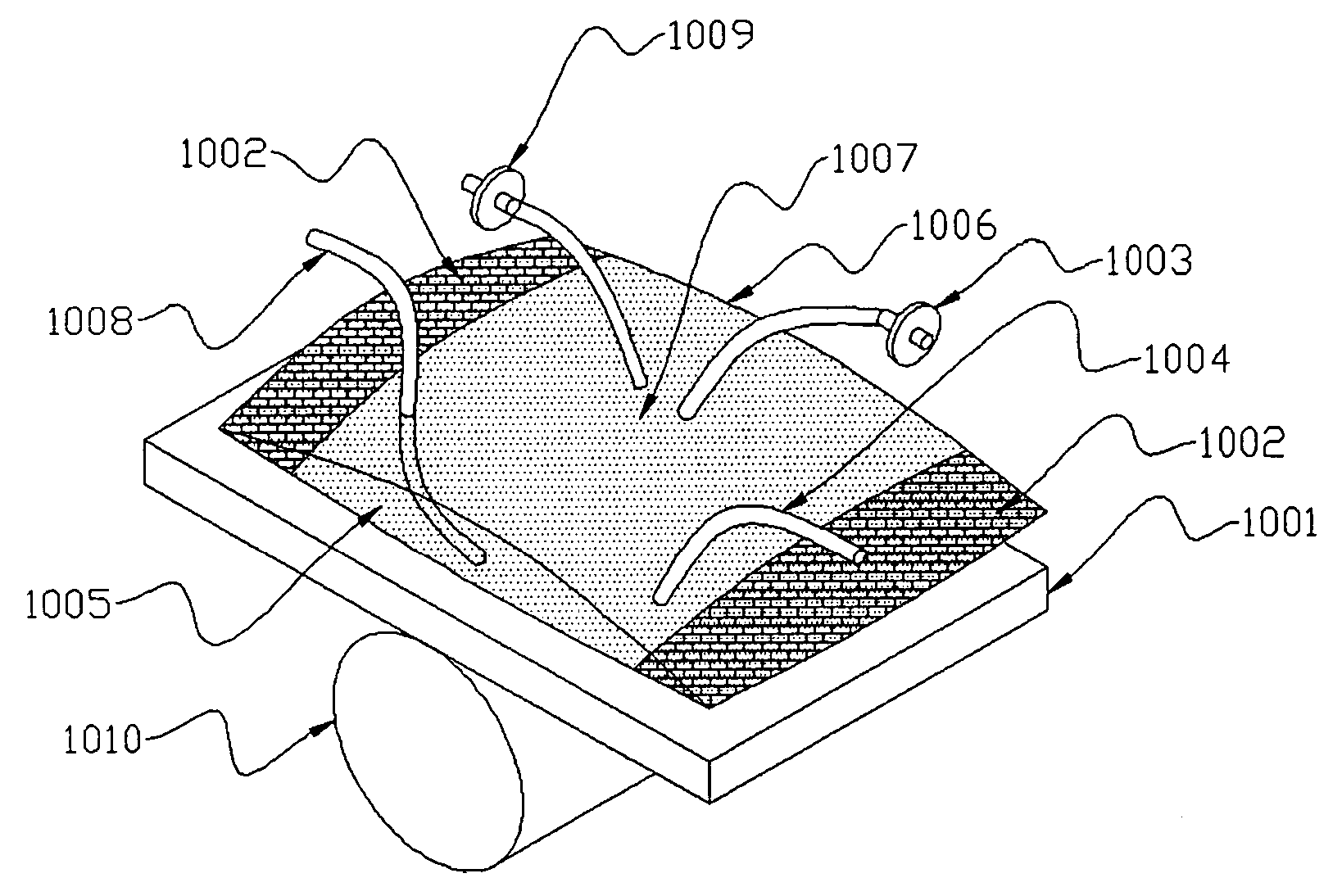 Apparatus and method for preparing and culturing cells