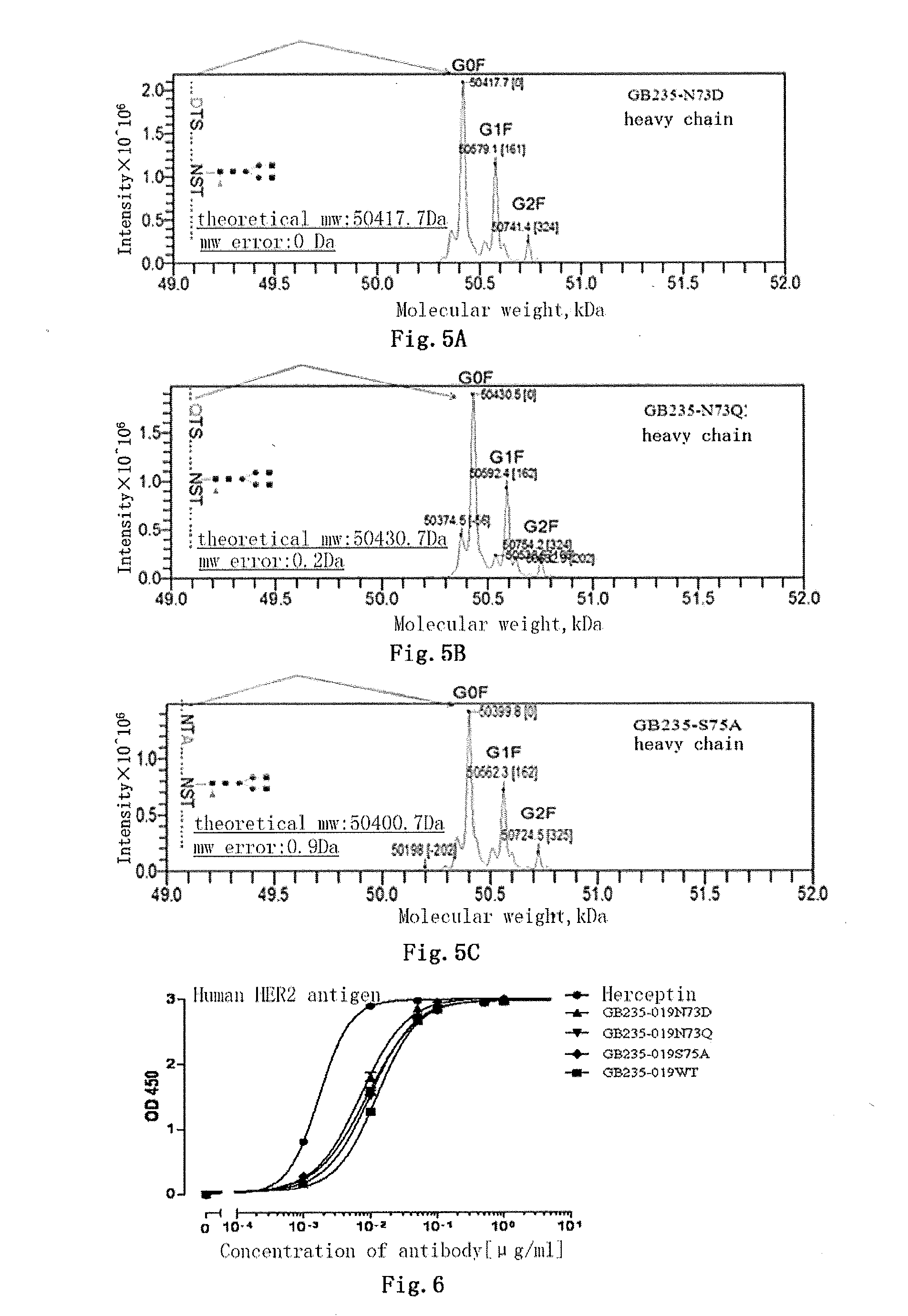 Mutated antibody of fully humanized her2 antibody, and encoding gene and use thereof