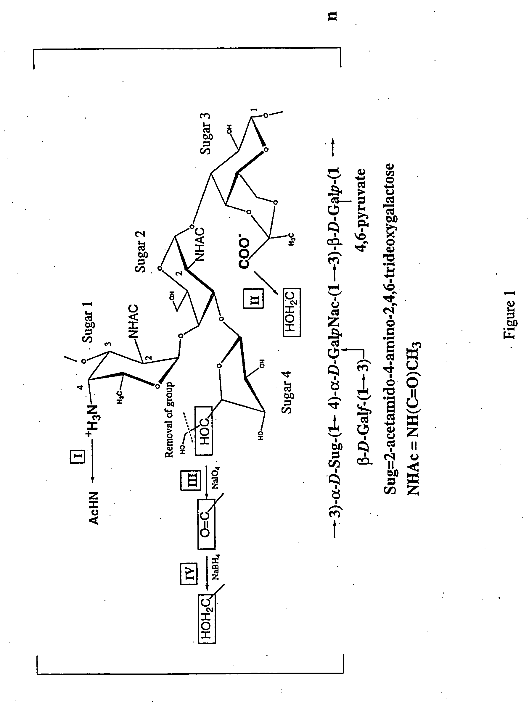 Immunomodulating polymers