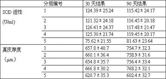 Skin filler used for injection and preparing method and application thereof