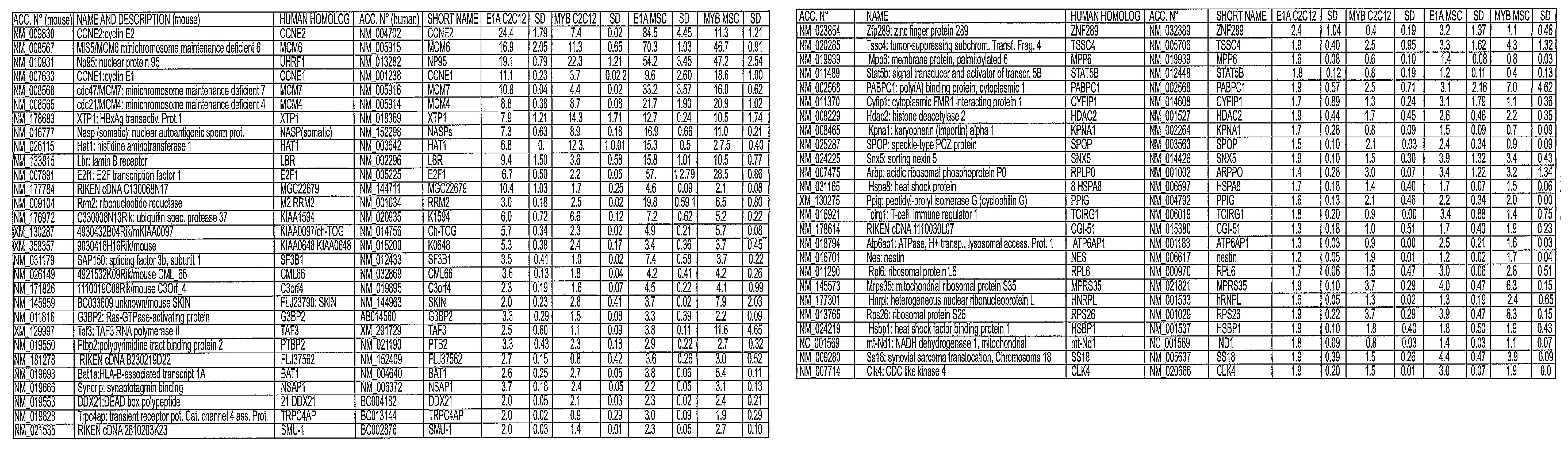 Cancer markers