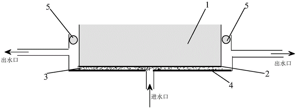 An ultrasonic cavitation device