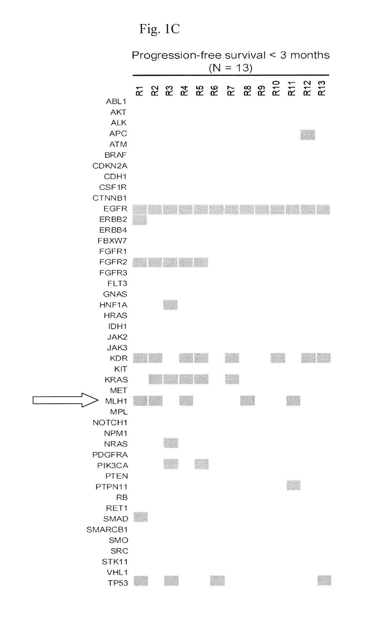 Method for evaluating the efficacy of an egfr-tki treatment