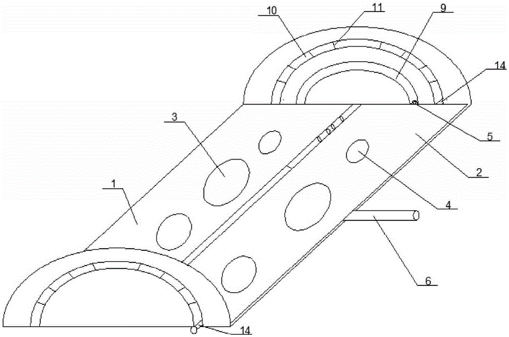 Nut shelling machine