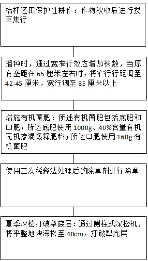 Corn cultivation and planting method for northeast black soil area