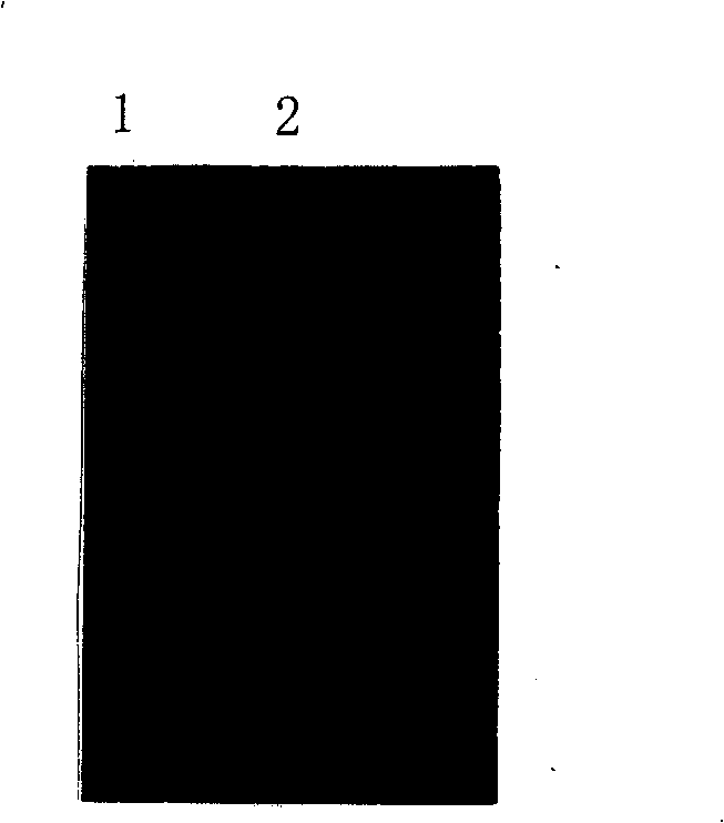 Low antigen recombination glucokinase mutant and its preparation method