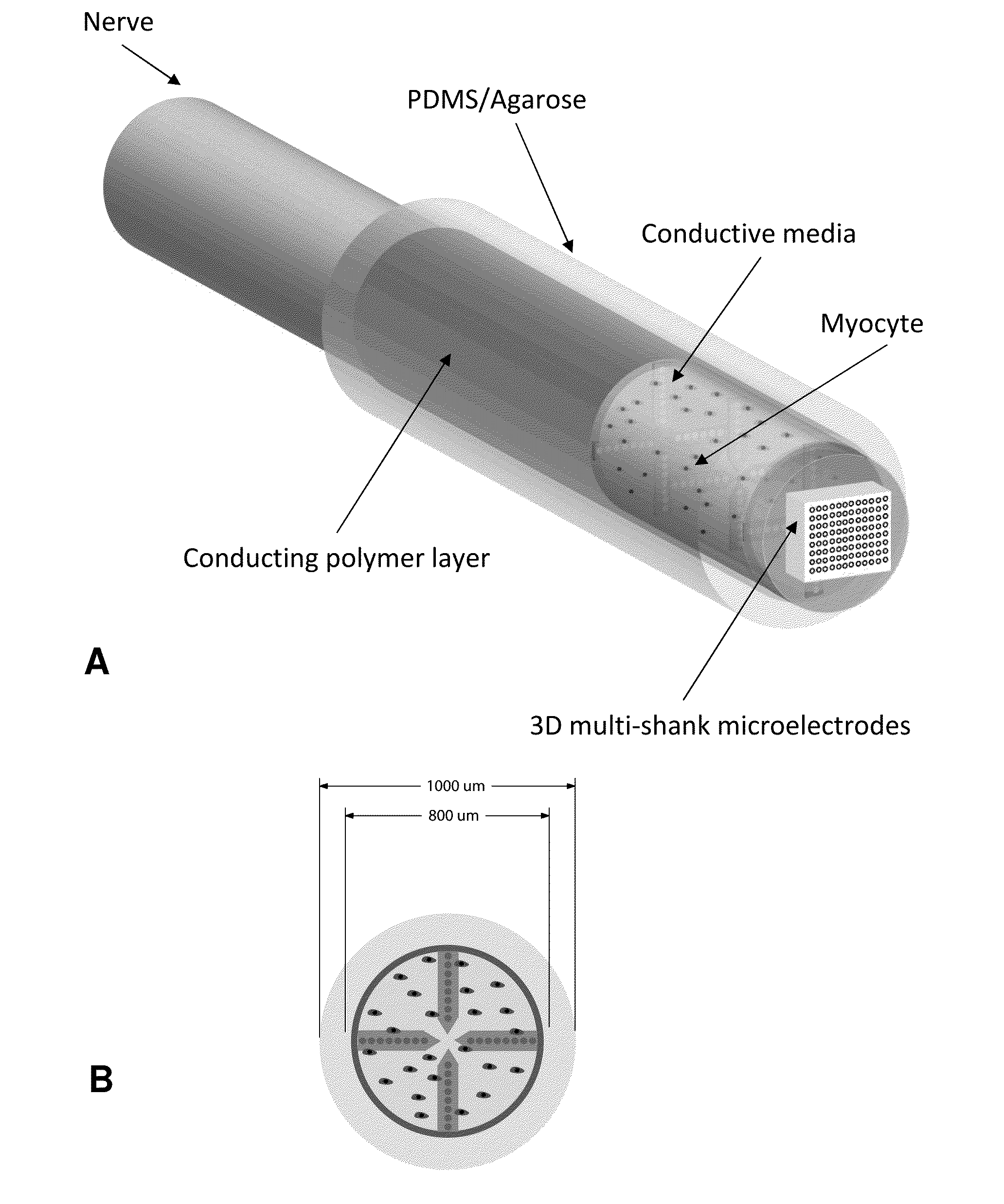 Hybrid bioelectrical interface device