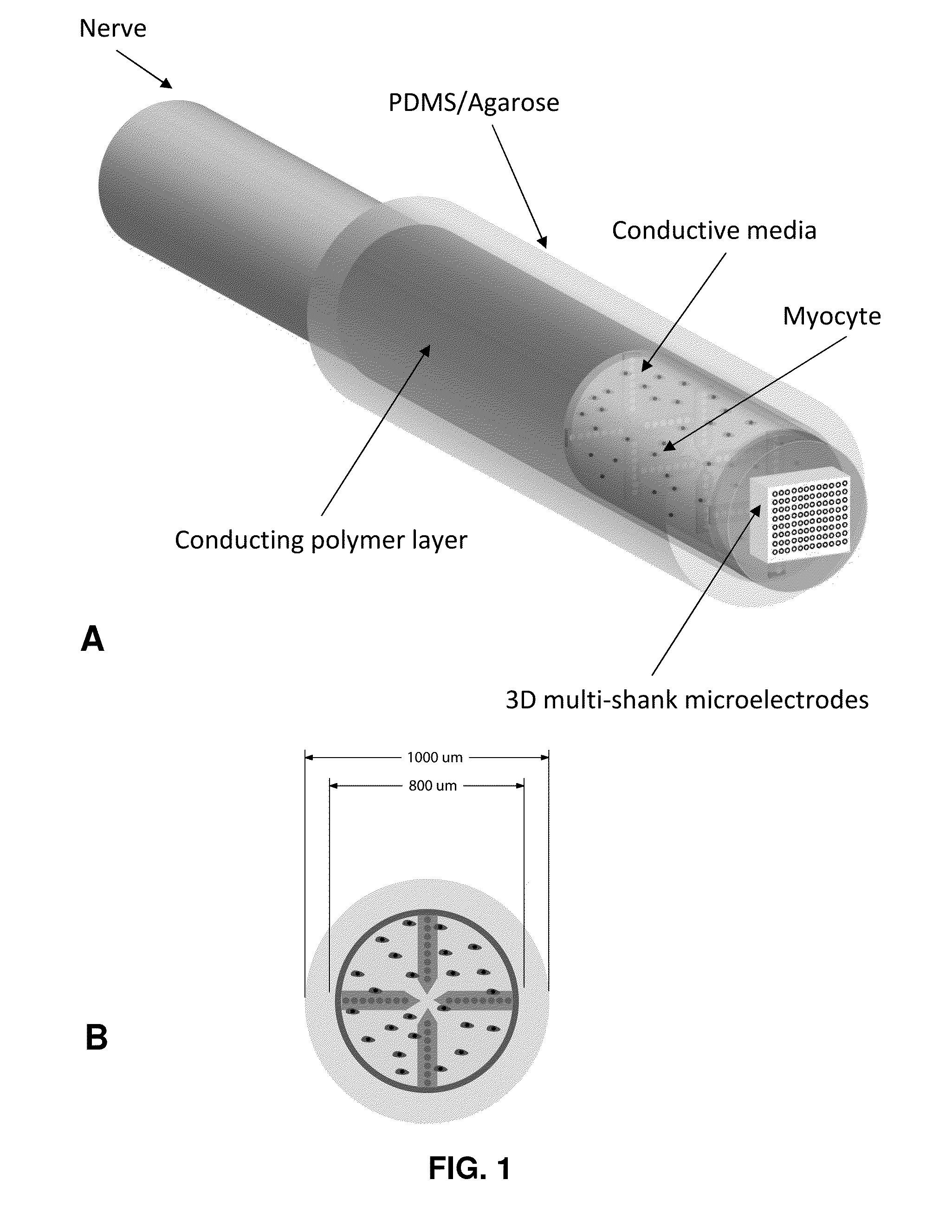 Hybrid bioelectrical interface device