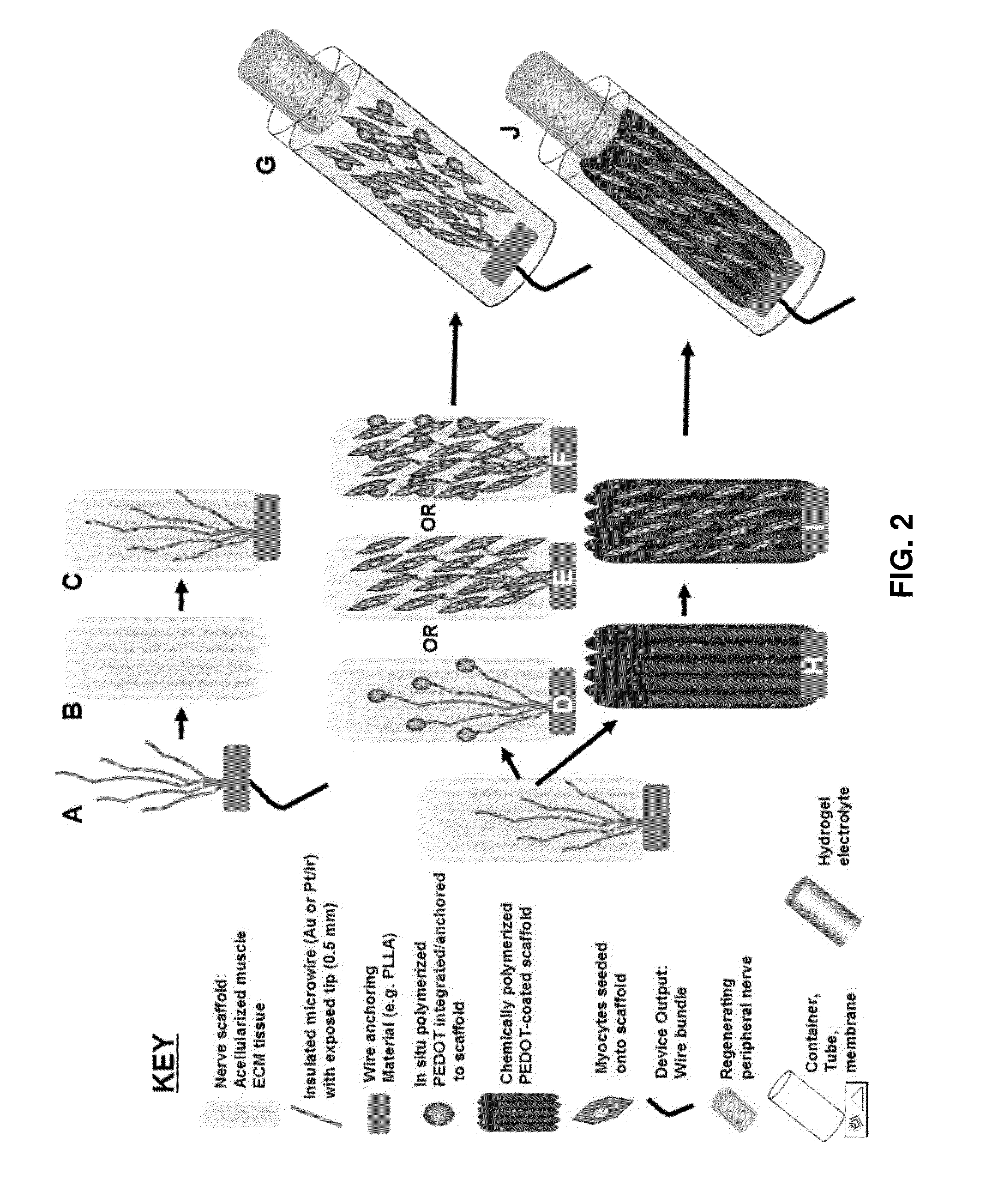 Hybrid bioelectrical interface device