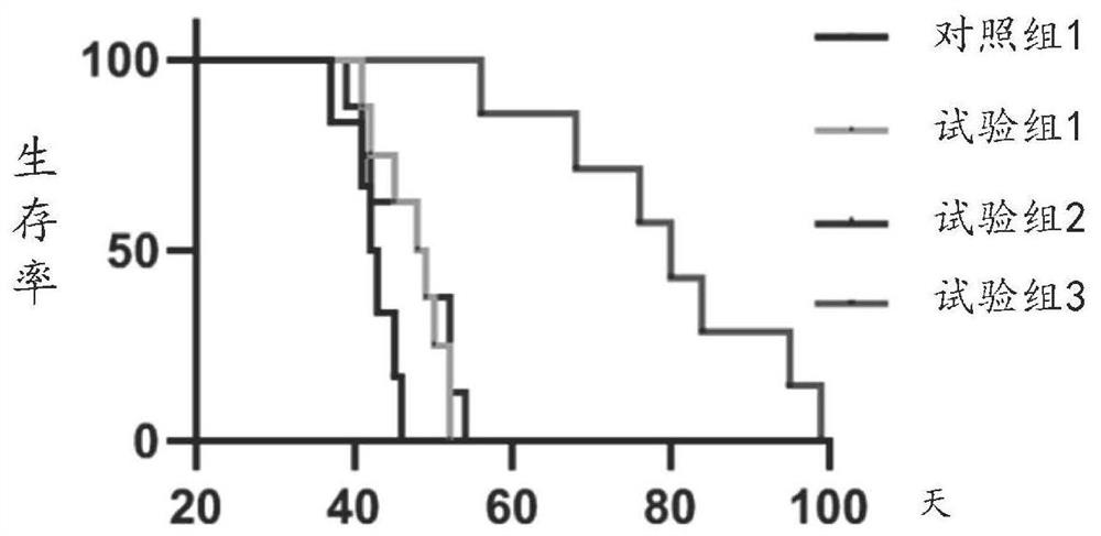 Application of medicine in preparation of drugs for treating metastatic encephaloma and related diseases thereof