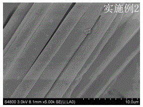 Filtering material and preparation method thereof