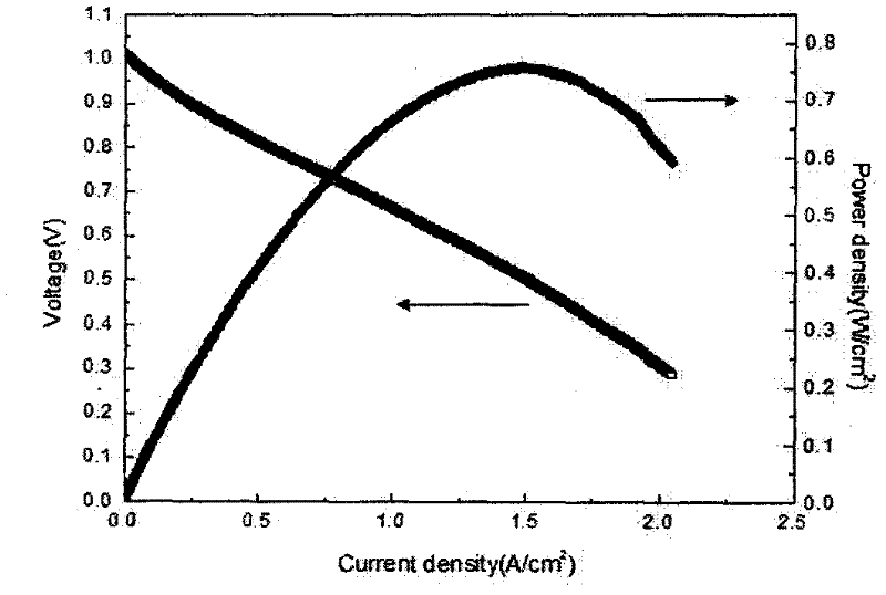 Preparation method for anode support layer of solid oxide fuel cell