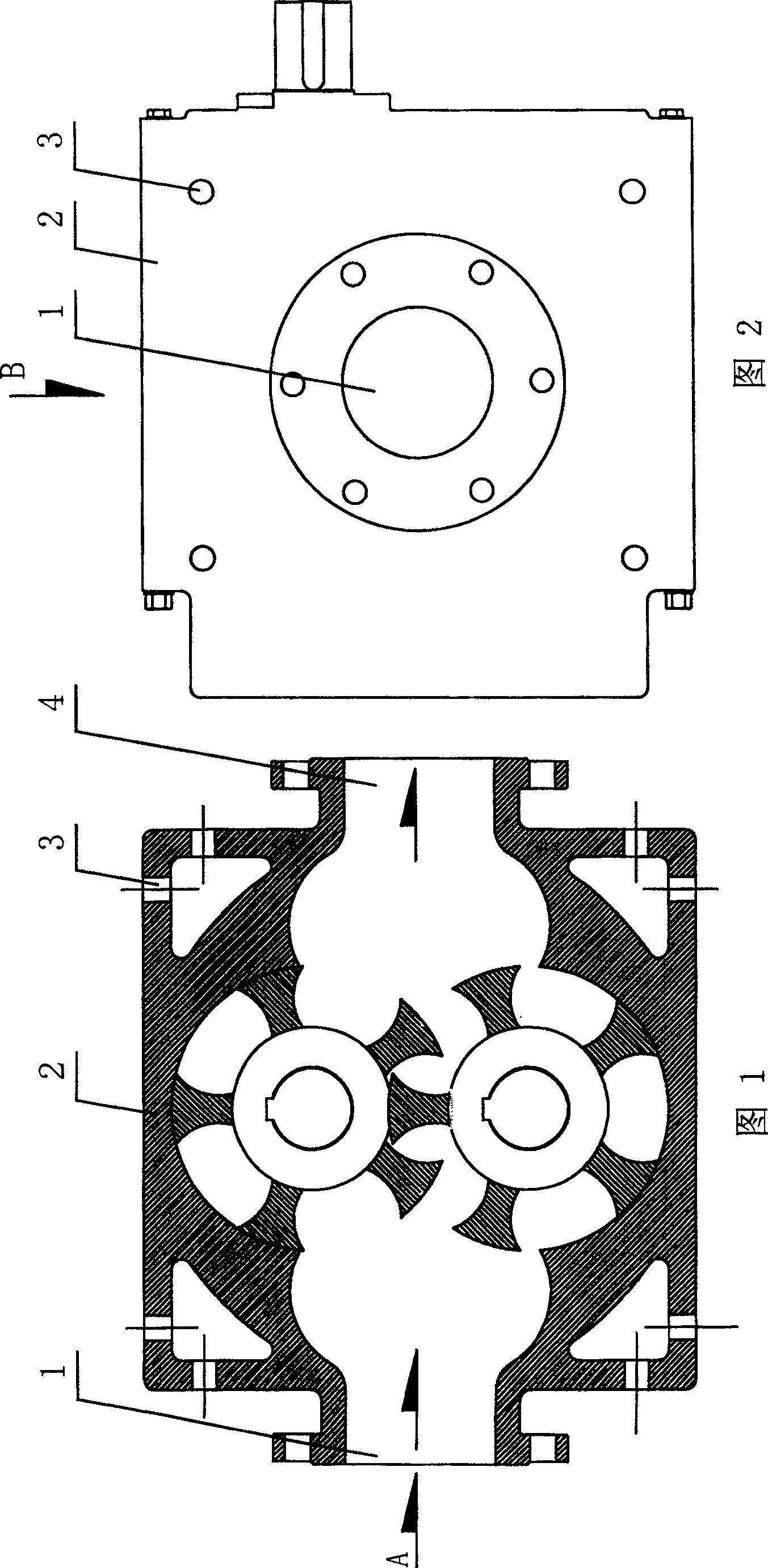 External loop type rotary piston pump