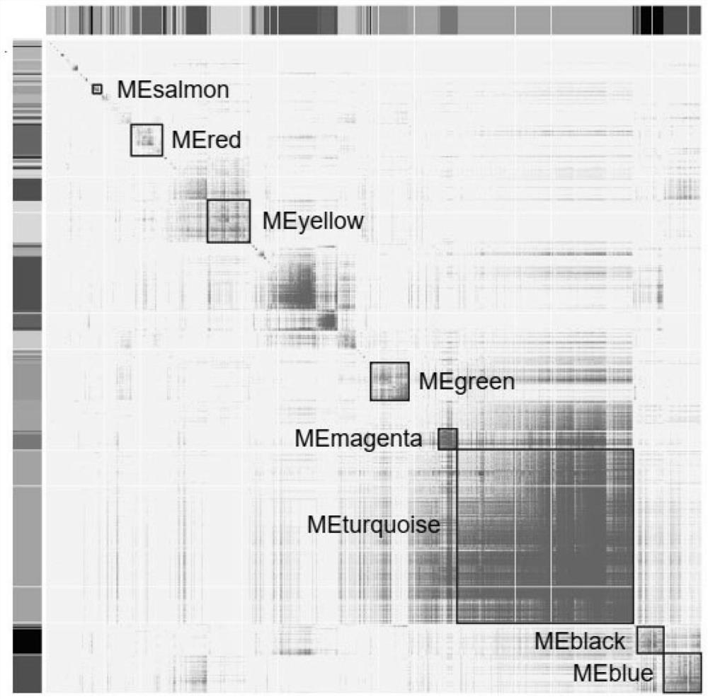 Markers used for diagnosis of delayed preeclampsia