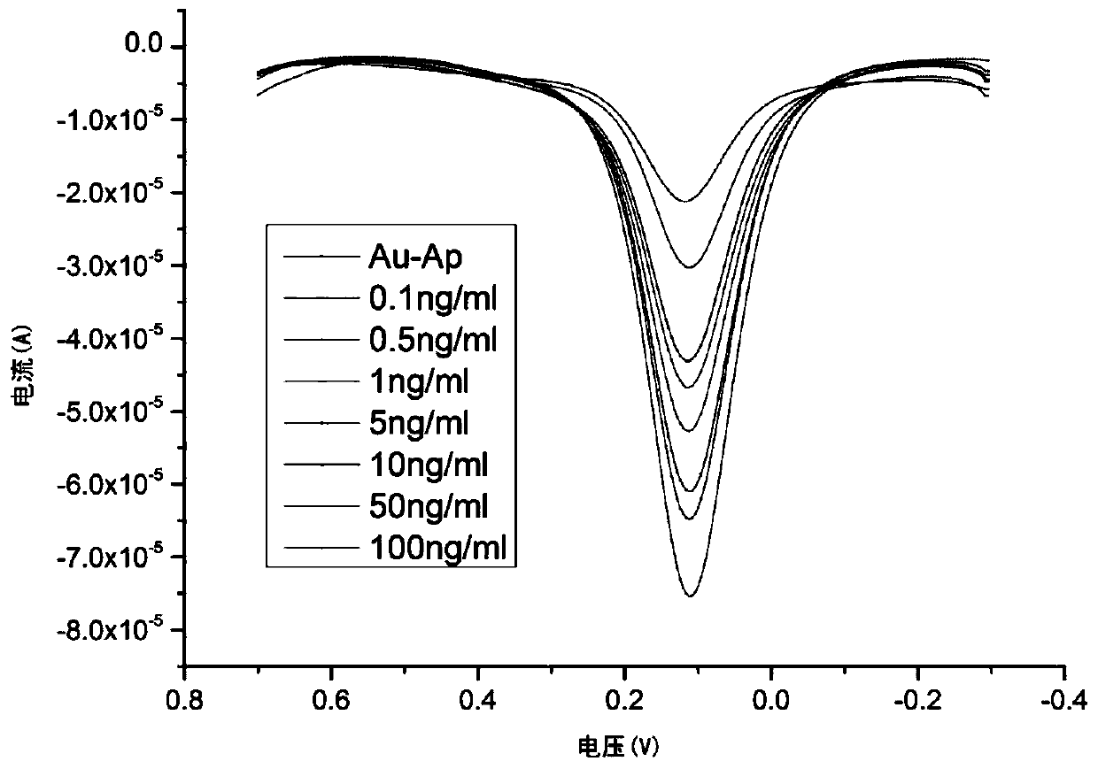 Electrochemical biosensor of cadmium ion nucleic acid aptamer and screen-printed electrode