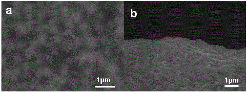 SnO2@PPy nano-film structural material as well as preparation method and application thereof