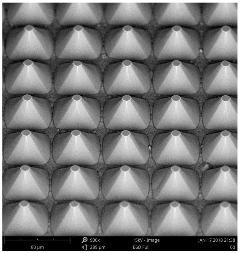 Hydrophobic material protected by microstructure as well as preparation method and application thereof