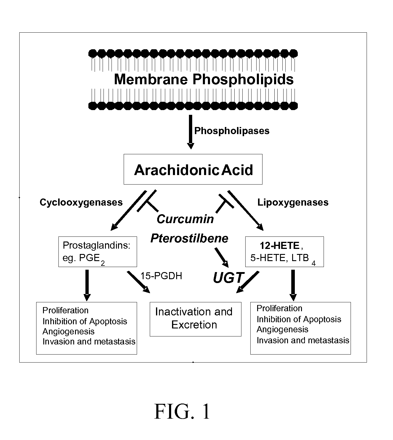 Pterostilbene and curcumin combination for treatment of oxidative stress and inflammation