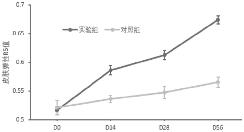 Face cream composition containing lipidosome for improving skin elasticity and preparation method of face cream composition