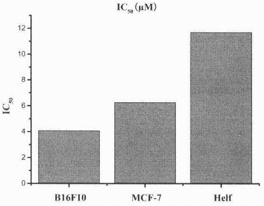 23‑Hydroxybetulinic acid fluorescent probe, its preparation and its use in cell localization and uptake