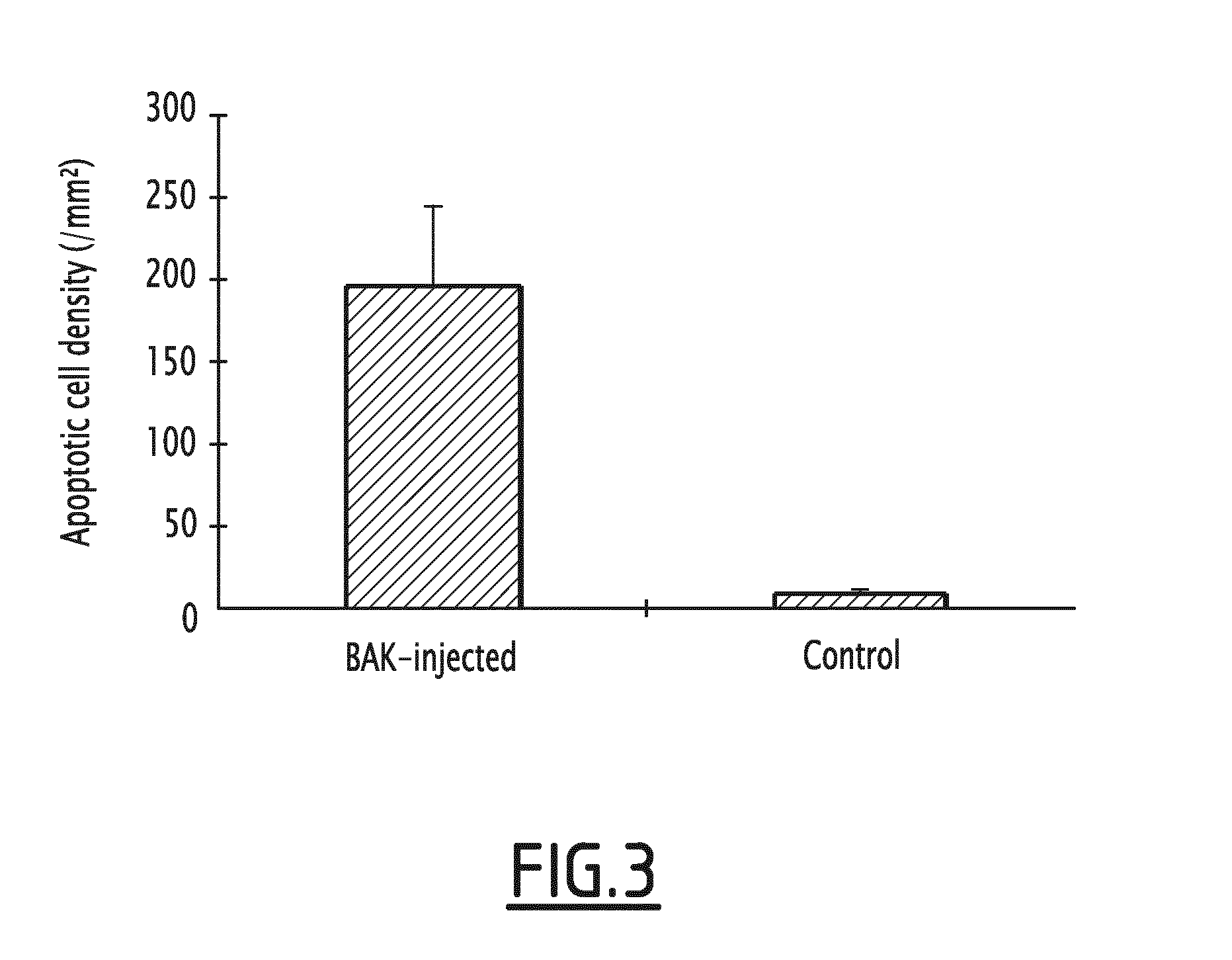 Method for increasing the intraocular pressure in an animal