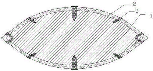 Anti-oxidization steam turbine blade