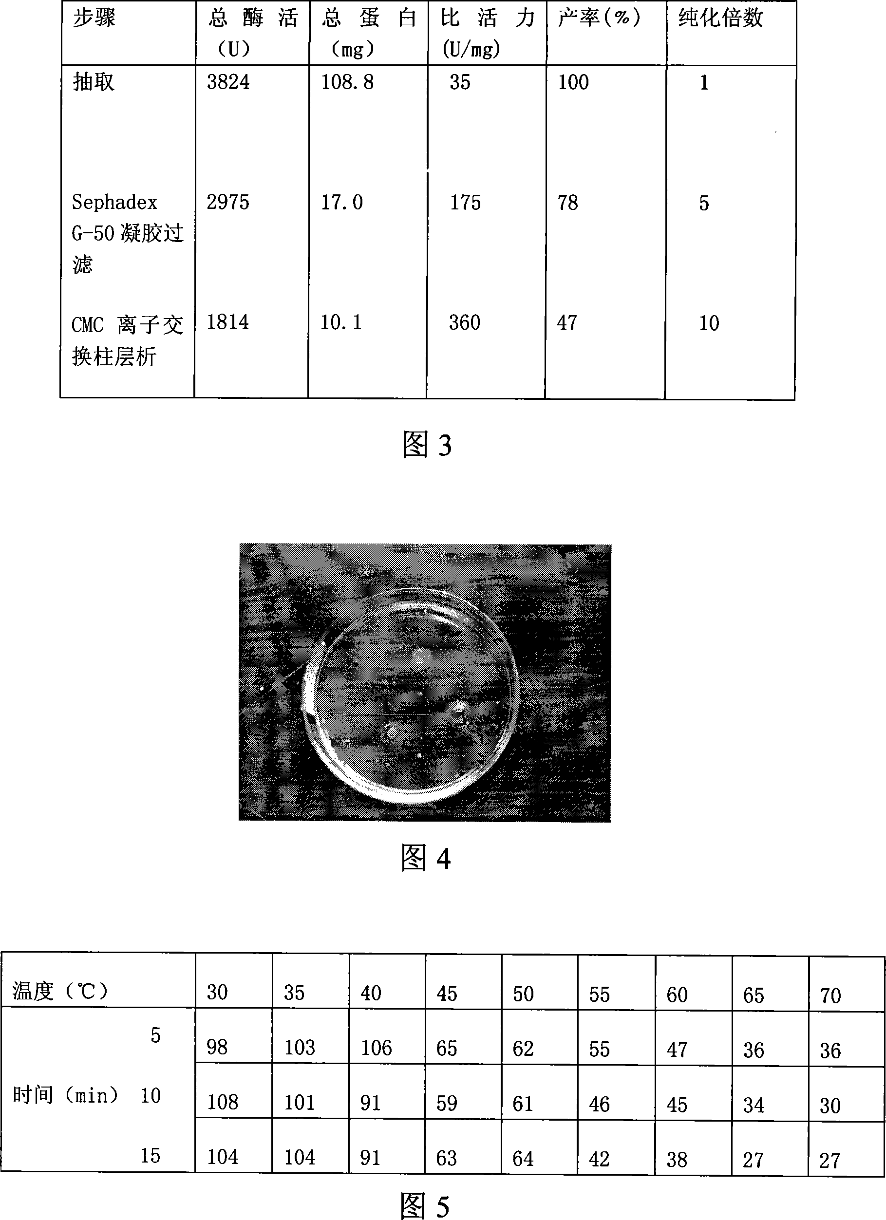 Method for preparing ganoderma sinensis streptokinase and application thereof