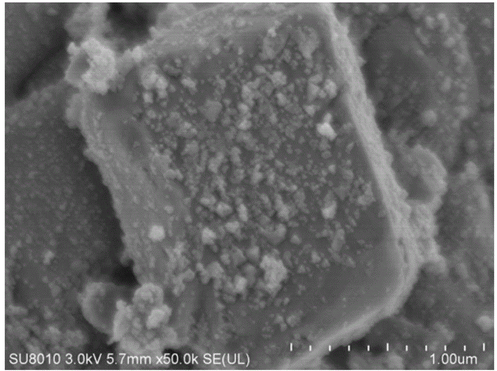 CdS/BiVO4 compound semiconductor photocatalyst and preparation and application thereof