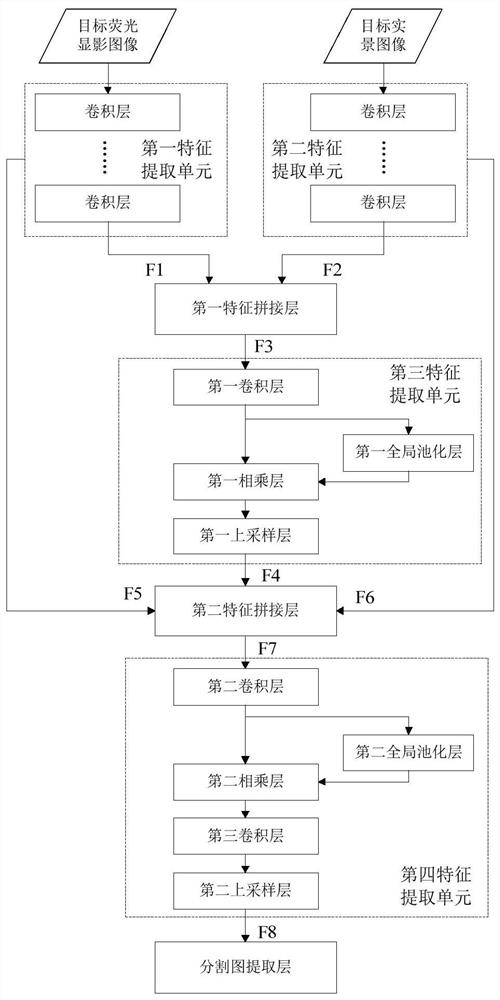 Parathyroid gland identification method based on image fusion technology