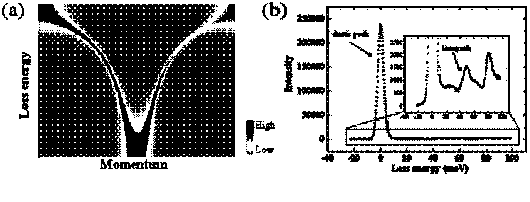 High-resolution electron energy loss spectrometer for energy and momentum two-dimensional analyses