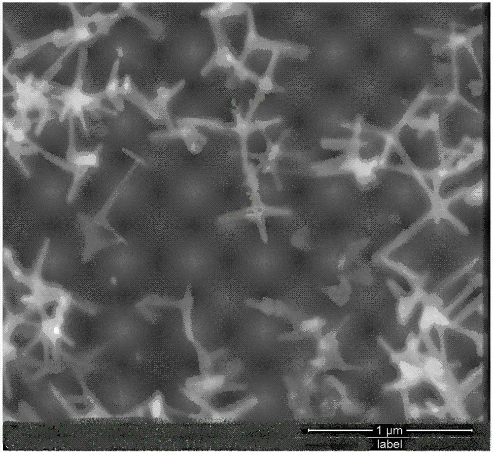 Method for preparing tetrapod-like zinc oxide nanorod