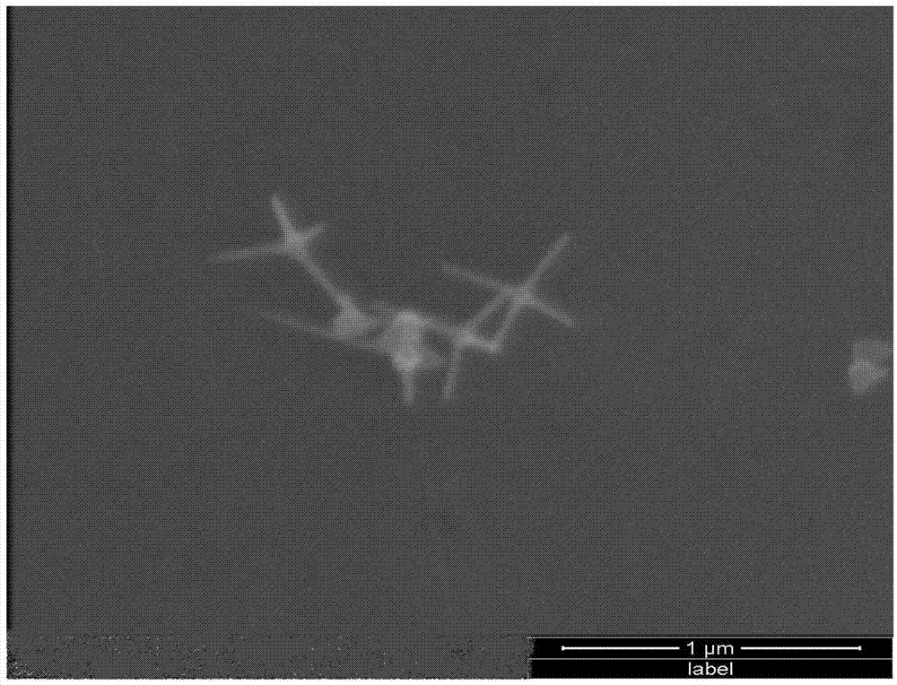 Method for preparing tetrapod-like zinc oxide nanorod