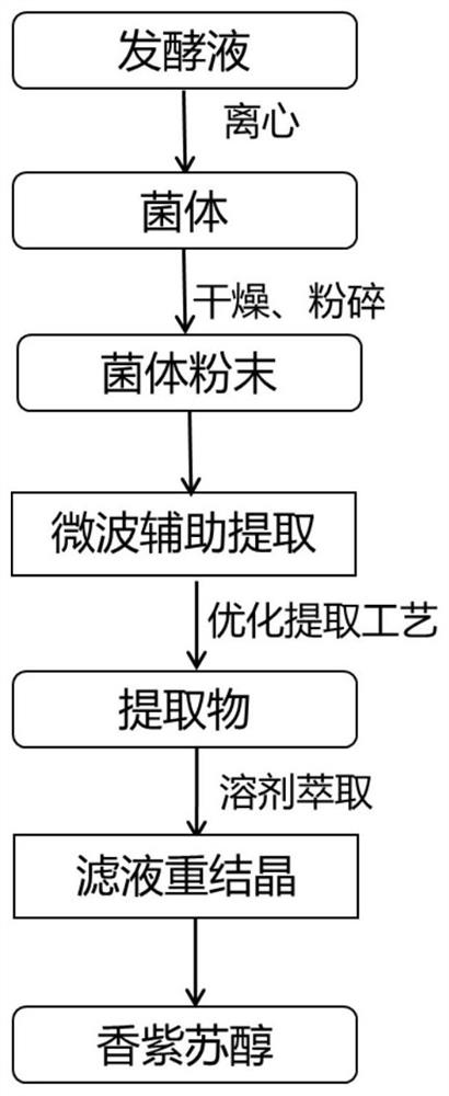 Method for extracting and purifying sclareol from sclareol fermentation liquor