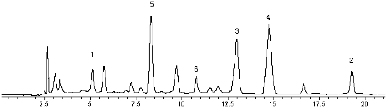 Olive total phenylethanoid glycoside composition and preparation and application thereof