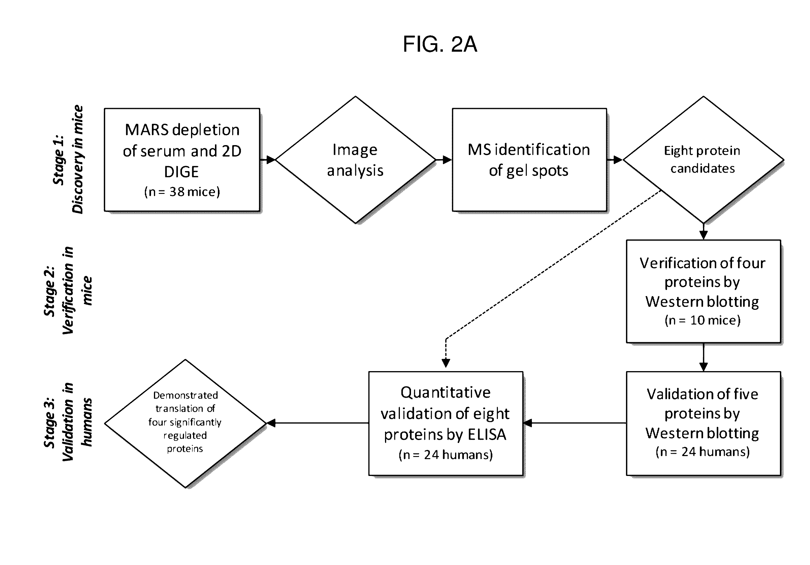 Biomarkers for gastric cancer and uses thereof