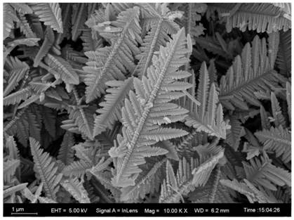 A leaf-shaped nanofe  <sub>3</sub> o  <sub>4</sub> Preparation method of filled honeycomb sandwich structure wave-absorbing composite material