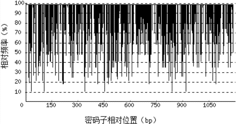 Recombinant porcine interferon beta1-Fc fusion protein as well as encoding gene and expressing method thereof