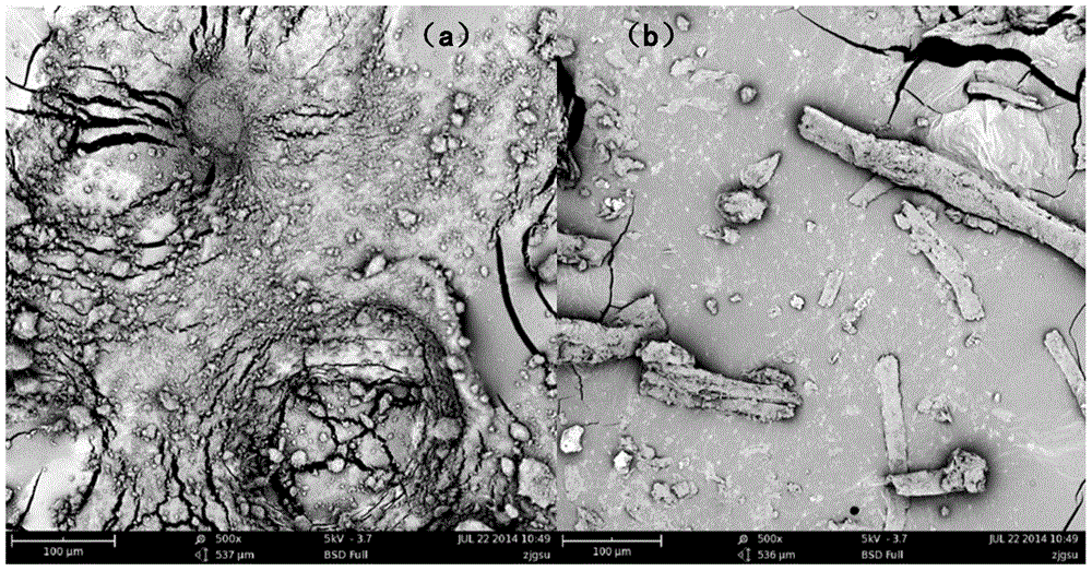 A kind of regeneration method of heavy metal chromium in chrome tanning sludge