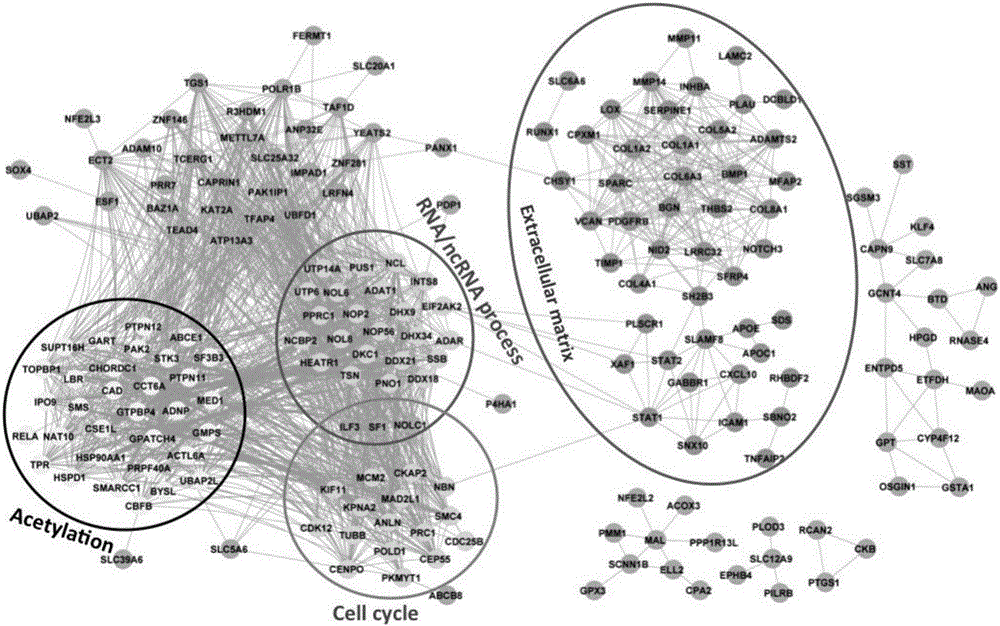 Application of gastric cancer genes