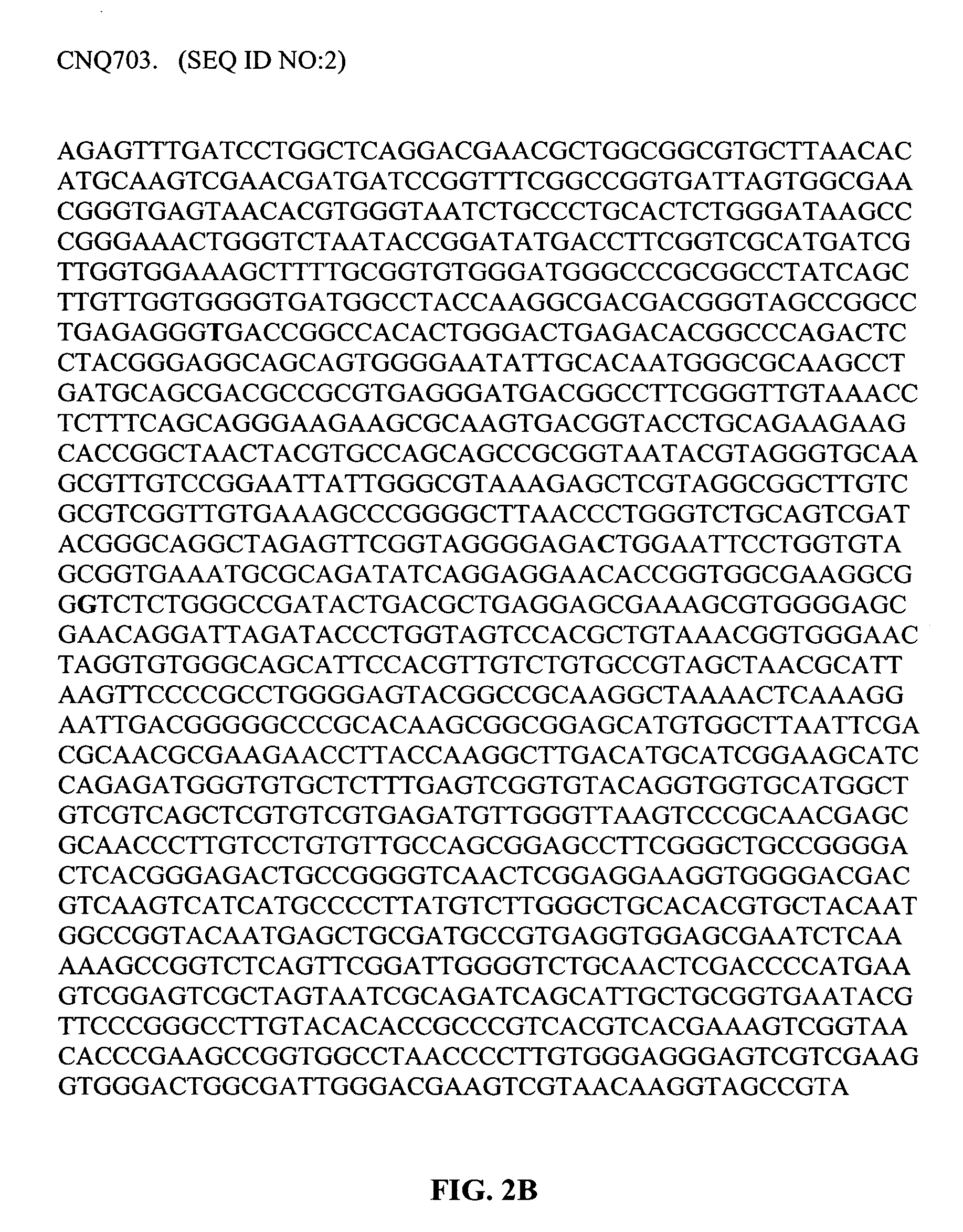 Method for the production of bioactive substances from the novel actinomycete taxon MAR2 ("Marinophilus")