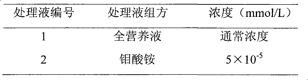 Method for rapidly promoting assimilation of nitrate in vegetables planted by soilless culture technology