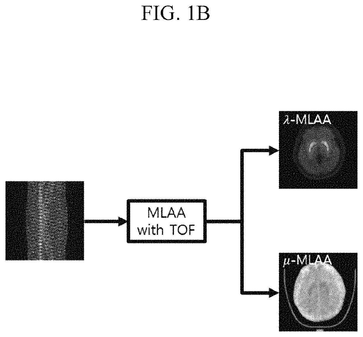 Positron emission tomography system and image reconstruction method using the same