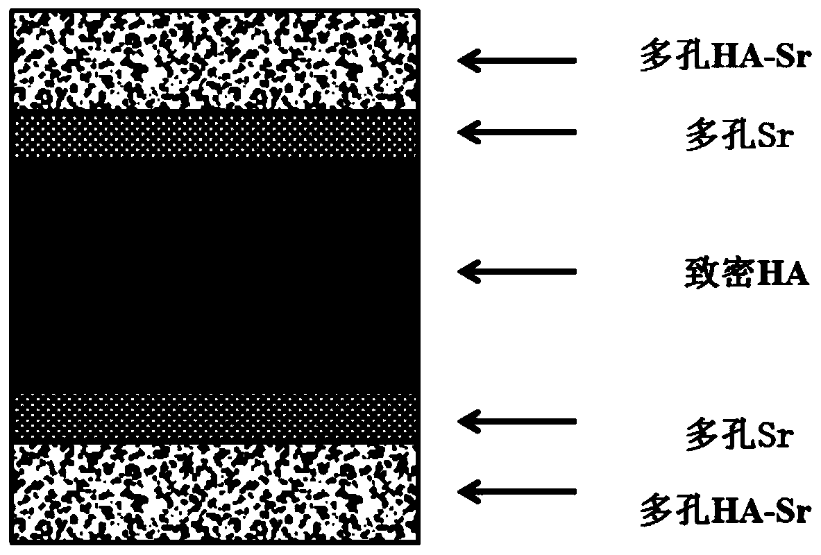 Preparation method of functionally graded porous HA-SR bone filling scaffold with active interlayer