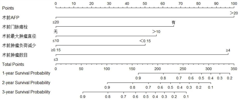 Clinical prognosis prediction model before surgical operation of initial non-resectable hepatocellular carcinoma