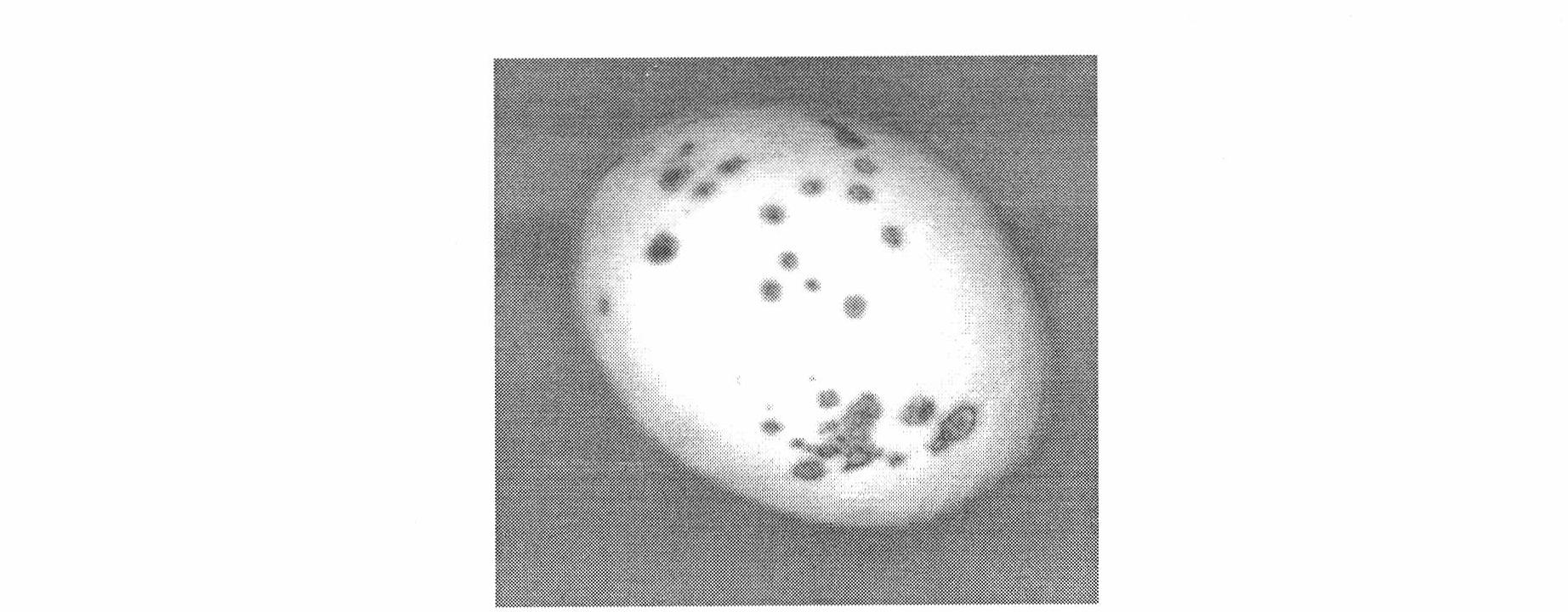 Method of detecting fruit surface defect based on low pass filter