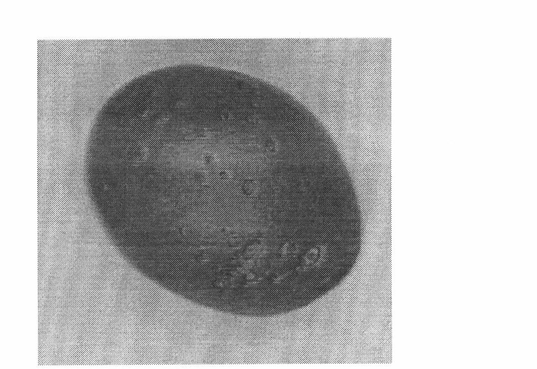 Method of detecting fruit surface defect based on low pass filter