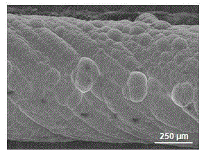 Composite material of silicon carbide and carbon nanotube and preparation method thereof