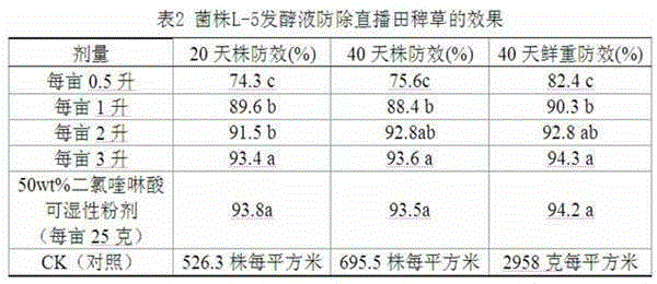 Bacillus subtilis strain as well as metabolite and application of bacillus subtilis strain